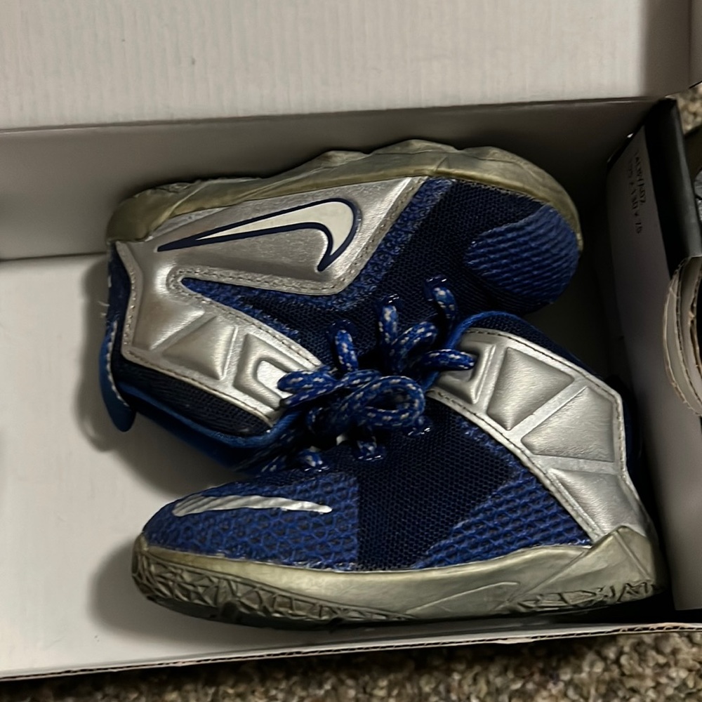 Nike lebron 12
